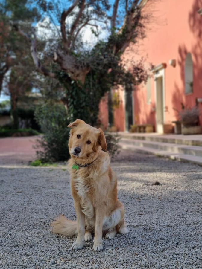 Petra - Country House Monteroni di Lecce Kültér fotó
